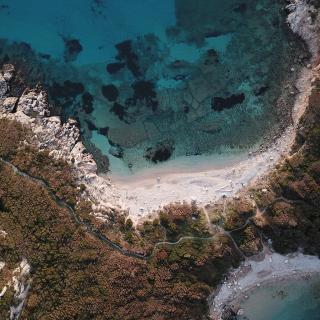 Photo Textures of Corfu Nature